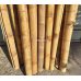 Бамбуковый ствол, д. 9-10 см, L 3м, декоративный СОРТ 3 – фото 8