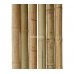Бамбуковый ствол, д.10-11см, L 3м, натуральный – фото 2