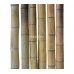 Бамбуковый ствол, д.12-13см, L 3м, натуральный – фото 2