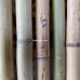 Бамбукова палка, Ø  3-3,3см, L 3м, декоративна – фото 4