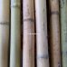 Бамбукова палка, Ø  3-3,3см, L 3м, декоративна – фото 7