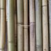 Бамбукова палка, Ø  3-3,3см, L 3м, декоративна – фото 3