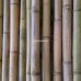 Бамбукова палка, Ø  4-4,5см, L 3м, декоративна – фото 3