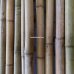Бамбуковый ствол, д.4-4,5см, L 3м, декоративный – фото 6