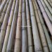 Бамбуковый ствол, д.4-4,5см, L 3м, декоративный – фото 5