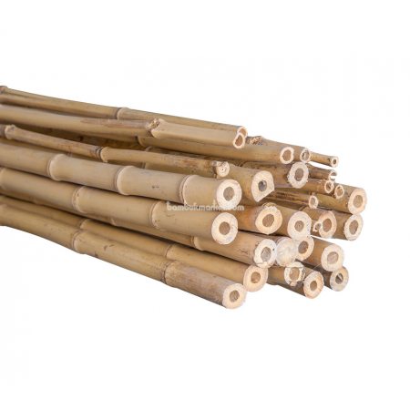 Бамбуковый ствол, д.2-3см, L 4м, декоративный, СОРТ 2 - фото 1