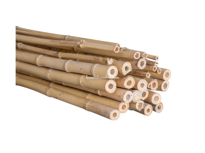 Бамбукова палка, Ø  2-3см, L 4м, декоративна – фото 2