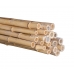 Бамбуковый ствол, Ø  3-4см, L 4м, декоративный, СОРТ 3 – фото 2