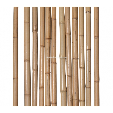 Бамбуковый ствол, Ø  3-4см, L 4м, декоративный, СОРТ 3 - фото 1