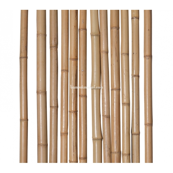 Бамбуковый ствол, Ø  3-4см, L 4м, декоративный, СОРТ 3 – фото 10