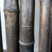 Бамбукова палка, Ø  3-4см, L 3м, чорна, СОРТ 2 – фото 5