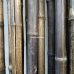 Бамбуковый ствол черный д.3-4см, высота 3 м, СОРТ 3 – фото 9