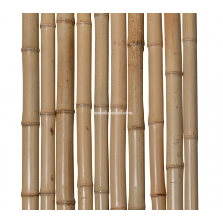 Бамбуковый ствол, Ø  4-6см, L 4м, декоративный, СОРТ 3 - фото 1
