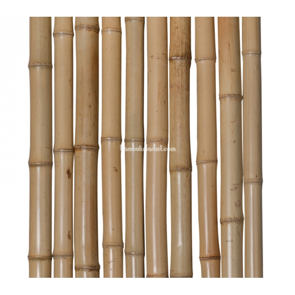 Бамбуковый ствол, Ø  4-6см, L 4м, декоративный, СОРТ 3 – фото 1