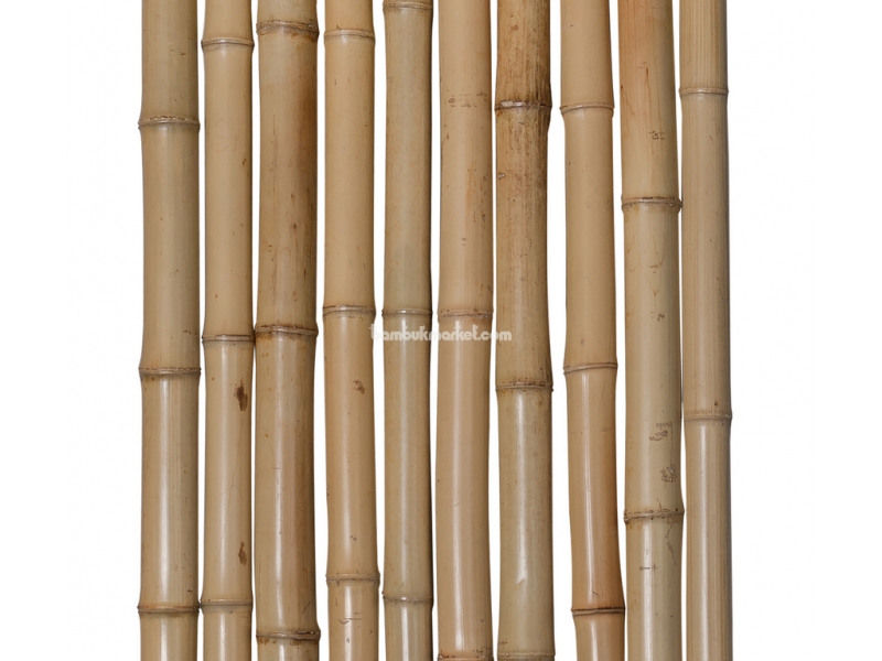 Бамбуковый ствол, Ø  4-6см, L 4м, декоративный, СОРТ 3 – фото 4