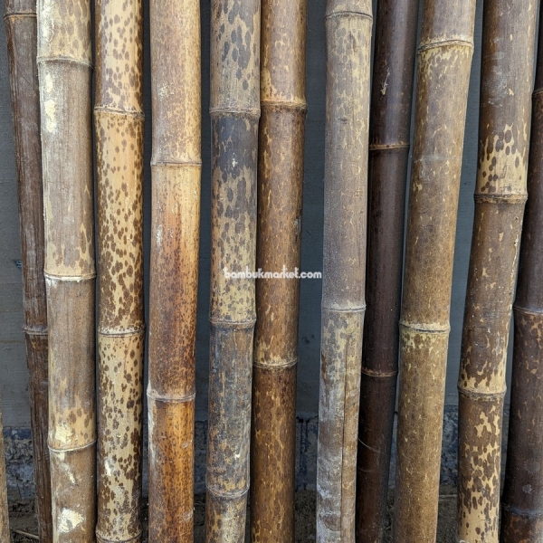 Бамбукова палка, Ø  5-6см, L 2м, чорна, СОРТ 2 – фото 4
