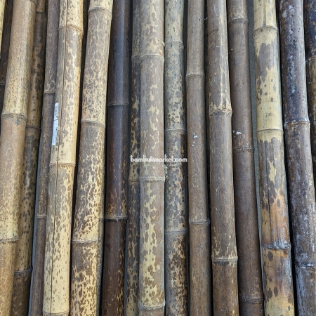 Бамбуковый ствол, Ø  5-6см, L 3м, черный, СОРТ 2 - фото 1