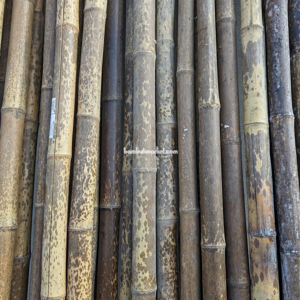 Бамбуковый ствол, Ø  5-6см, L 3м, черный, СОРТ 2 – фото 3