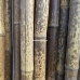 Бамбуковый ствол, Ø  5-6см, L 3м, черный, СОРТ 2 – фото 4