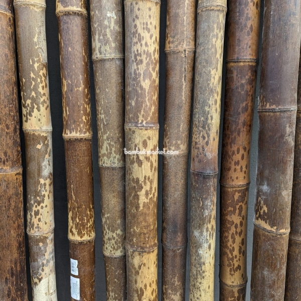 Бамбукова палка, Ø  6-7см, L 2м, чорна, СОРТ 2 – фото 7