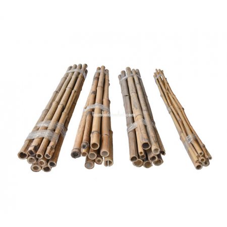 Бамбукові палки для підв'язки, Ø до 3см, L 1м, (упак. 10шт), СОРТ 2 - фото 1