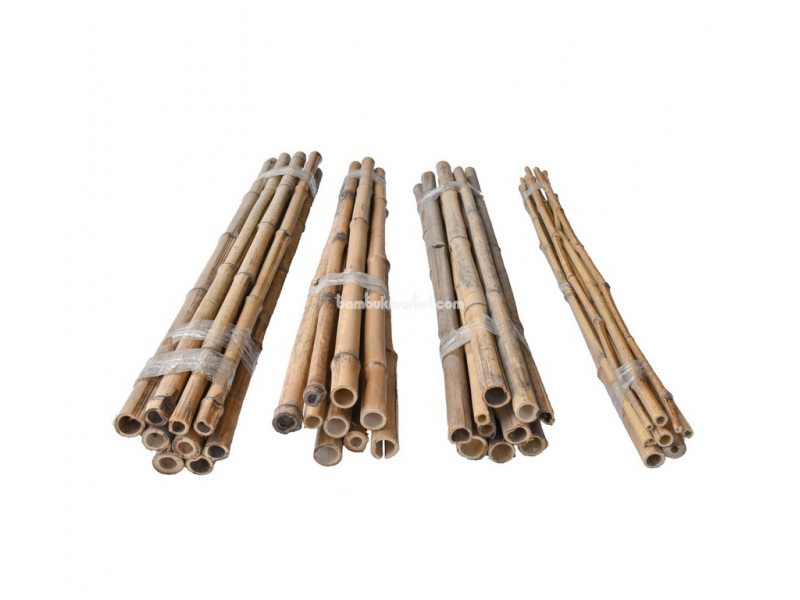 Бамбукові палки для підв'язки, Ø до 3см, L 1м, (упак. 10шт), СОРТ 2 – фото 1
