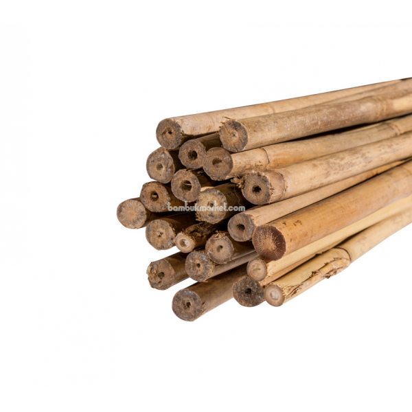 Бамбуковый ствол для подвязки, Ø 1,6-1,8см, L 1,5м – фото 7
