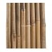 Бамбуковый ствол, д.2,4-2,6см, L 3м, СОРТ 2 – фото 2