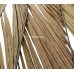 Купить кокосовый лист с доставкой по Украине на bambukmarket  – фото 3