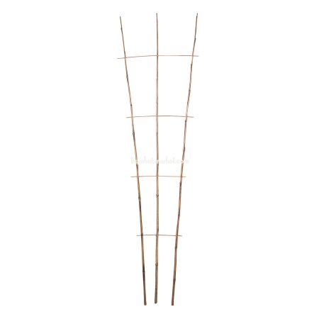 Бамбукова драбинка для рослин, S 3*4, L 2,1м - фото 1