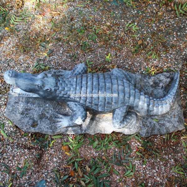 Крокодил – фото 12