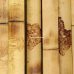 Рейка бамбукова, 2820х50х8мм, обпалена, СОРТ 3 – фото 4