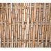 Паркан-секція з бамбука, без окантовки, 2х1,2м – фото 3