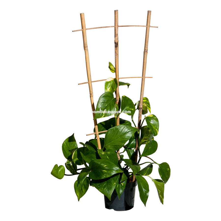 Бамбуковая лесенка для растений, S 2*3, L 2,1м > Купить бамбуковую .